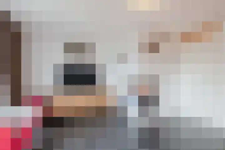 Hemsink 49 Biddinghuizen thumbnail 17