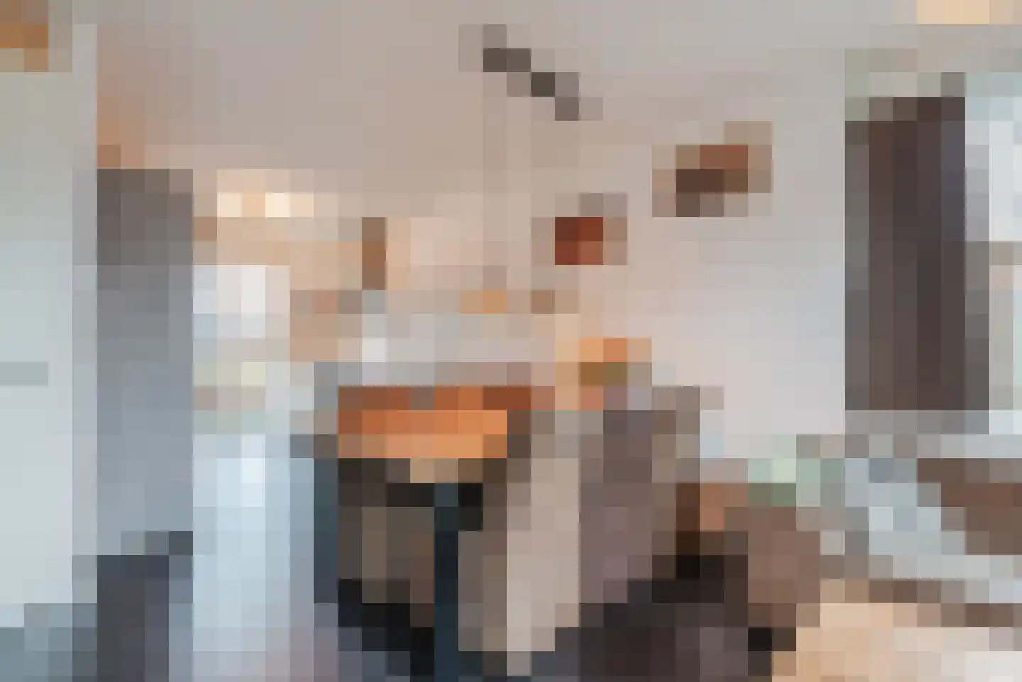Hemsink 49 Biddinghuizen thumbnail 18