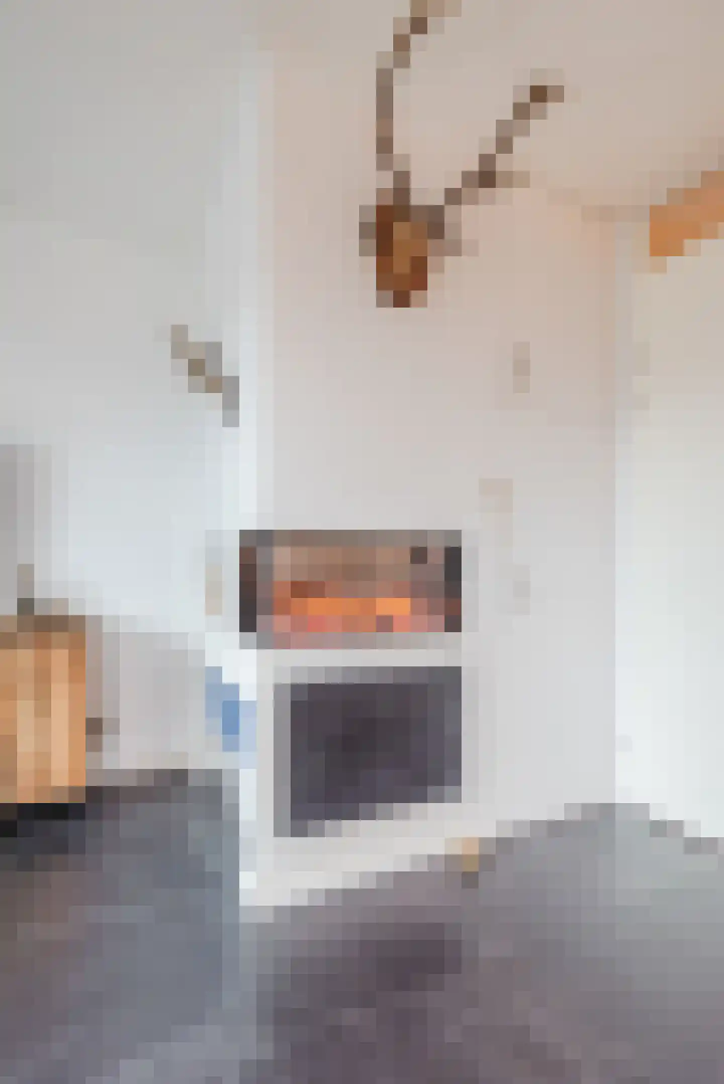 Hemsink 49 Biddinghuizen thumbnail 20