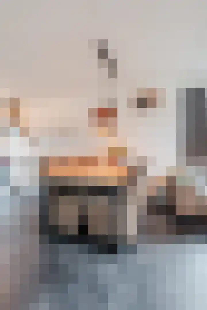 Hemsink 49 Biddinghuizen thumbnail 21