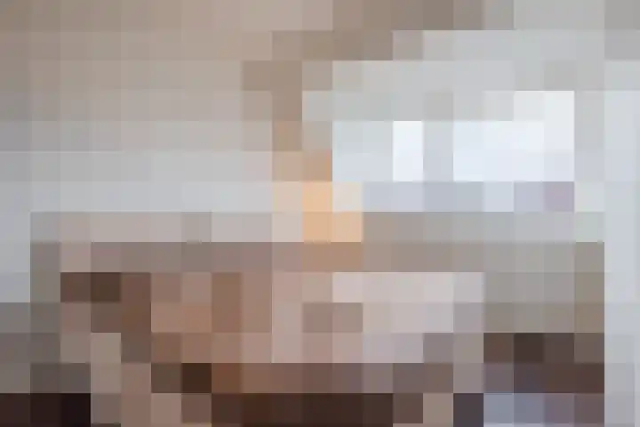 Hemsink 49 Biddinghuizen thumbnail 29