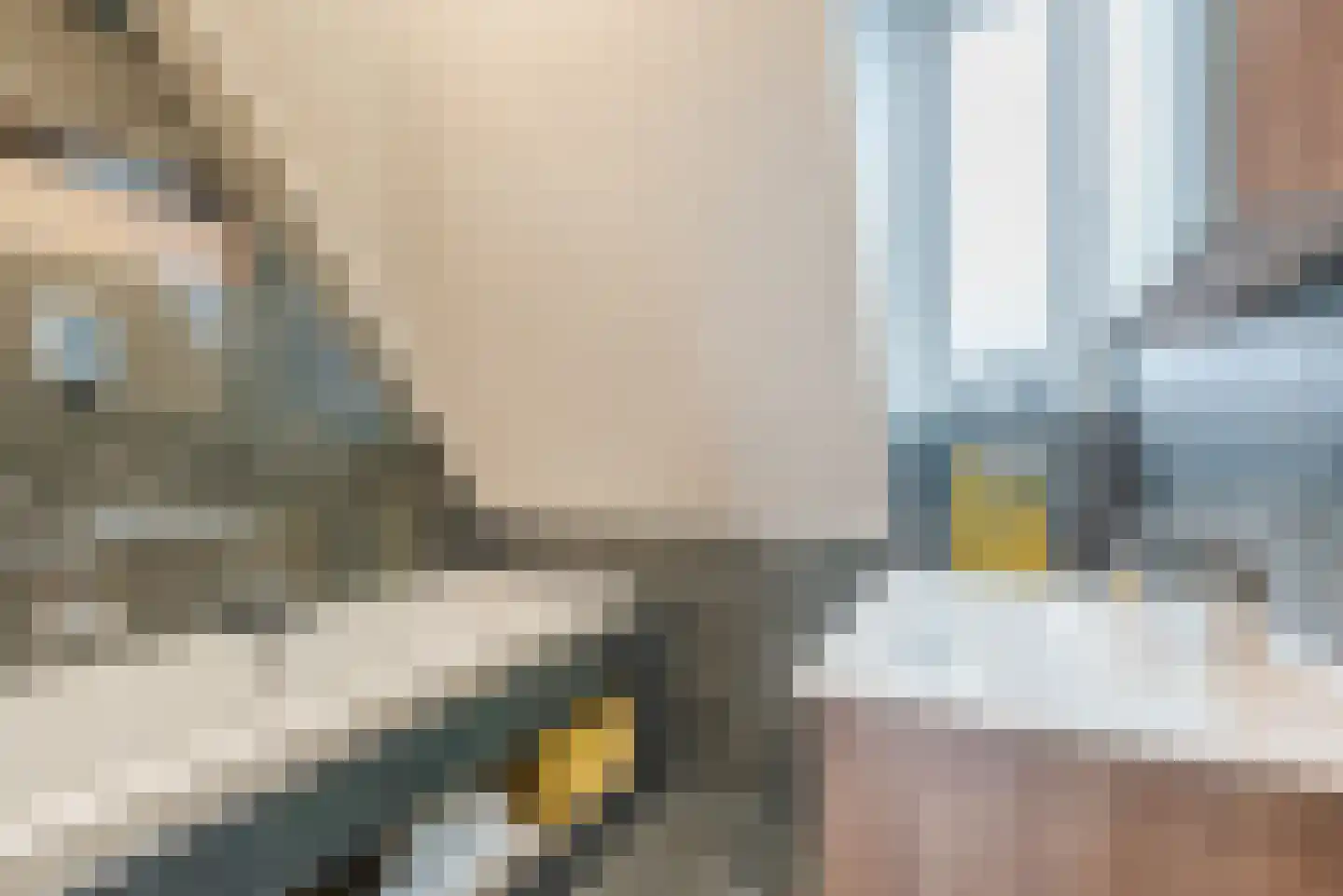 Hemsink 49 Biddinghuizen thumbnail 34
