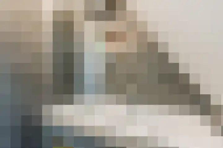 Hemsink 49 Biddinghuizen thumbnail 35