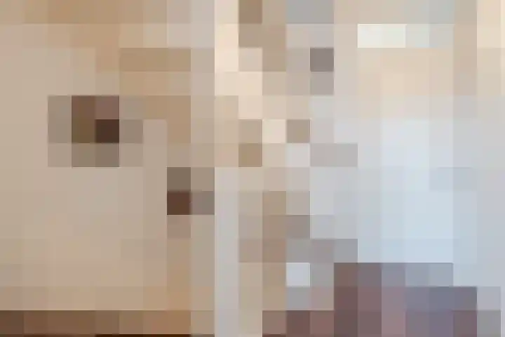 Hemsink 49 Biddinghuizen thumbnail 40