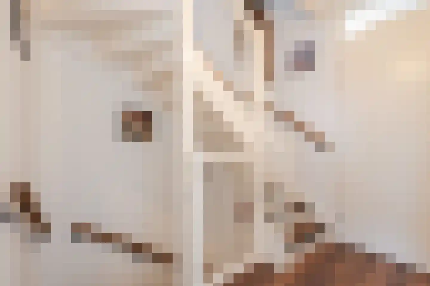 Hemsink 49 Biddinghuizen thumbnail 41