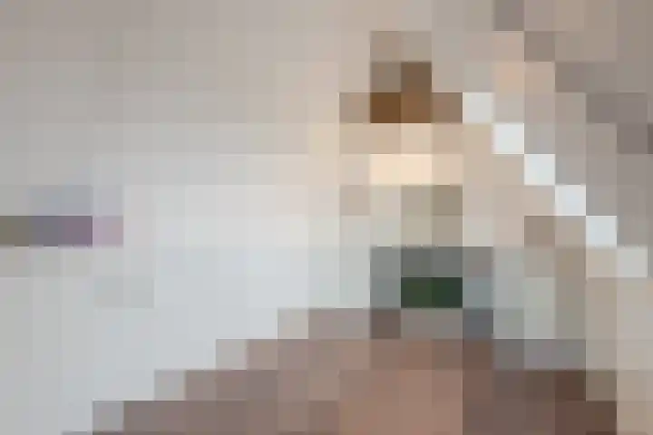 Hemsink 49 Biddinghuizen thumbnail 43