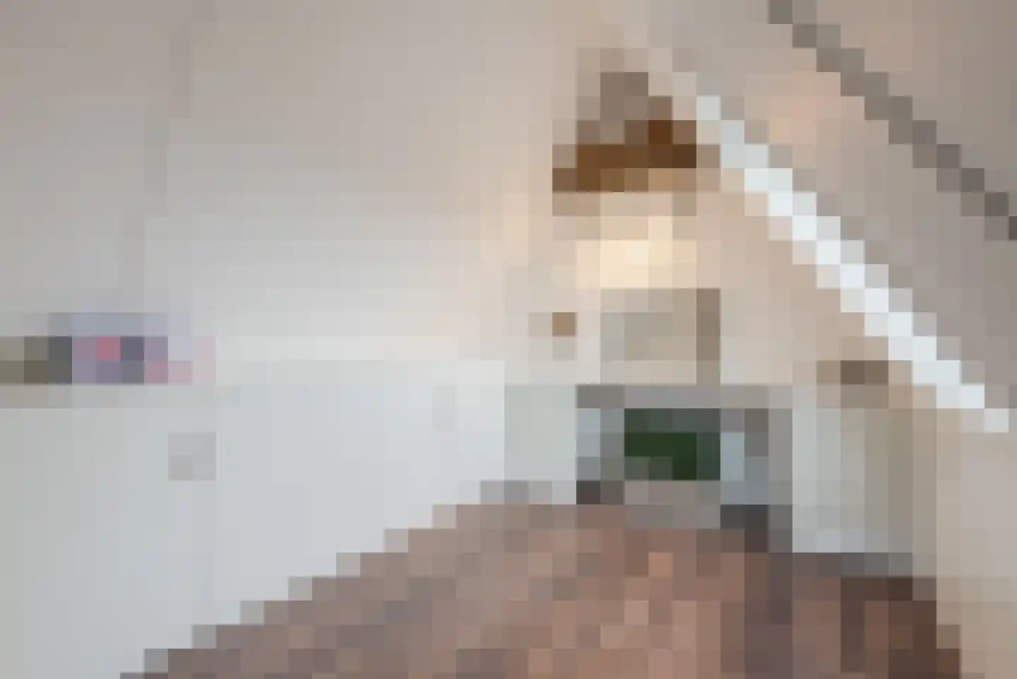 Hemsink 49 Biddinghuizen thumbnail 43
