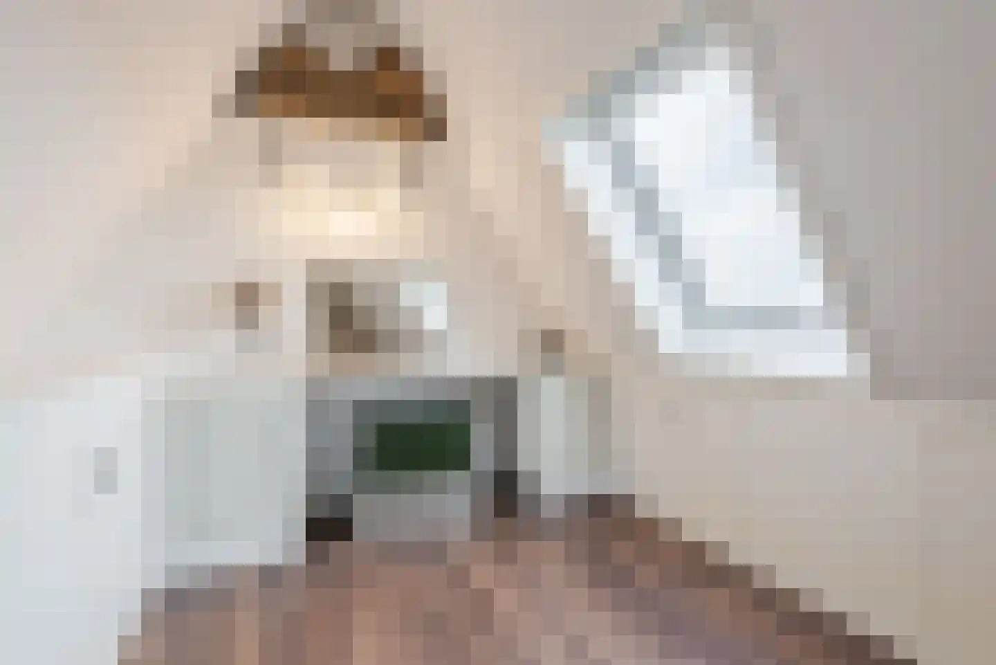 Hemsink 49 Biddinghuizen thumbnail 44