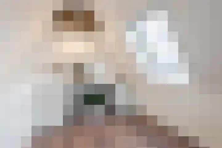 Hemsink 49 Biddinghuizen thumbnail 44