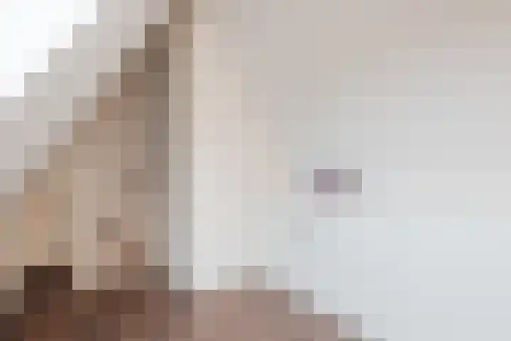 Hemsink 49 Biddinghuizen thumbnail 45