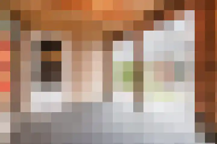 Hemsink 49 Biddinghuizen thumbnail 47
