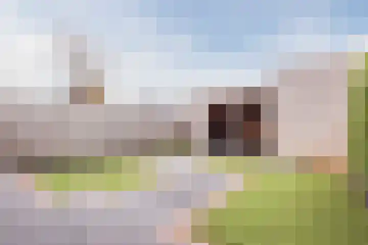 Hemsink 49 Biddinghuizen thumbnail 48