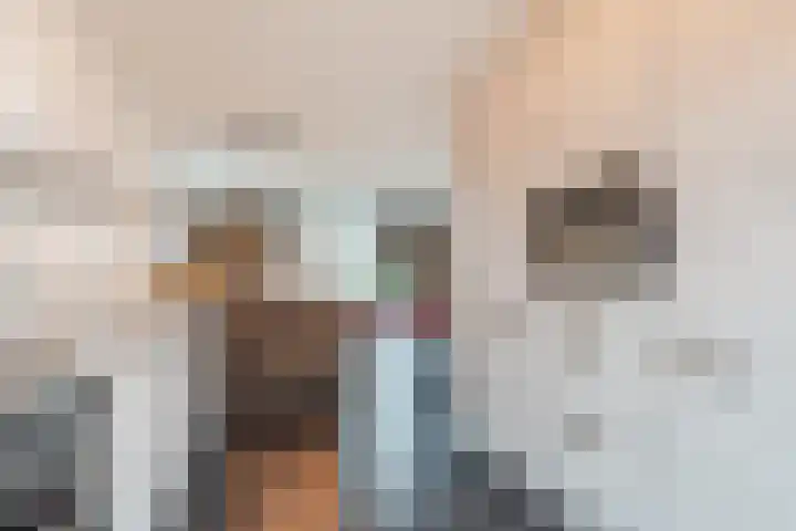 Hemsink 49 Biddinghuizen thumbnail 5