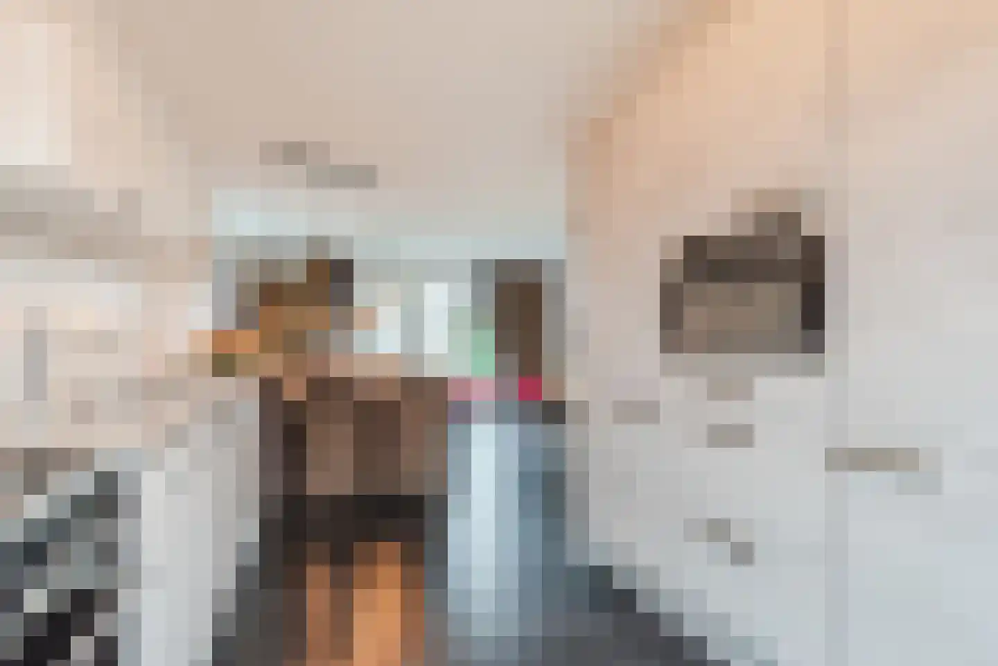 Hemsink 49 Biddinghuizen thumbnail 5
