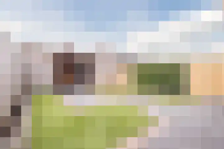 Hemsink 49 Biddinghuizen thumbnail 50