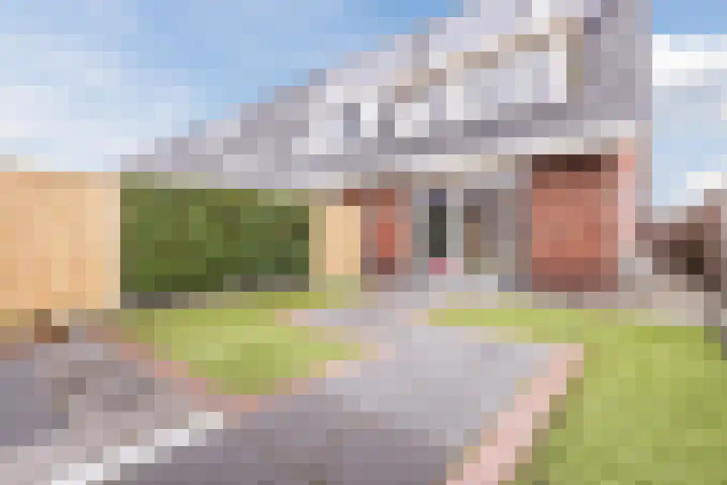 Hemsink 49 Biddinghuizen thumbnail 51
