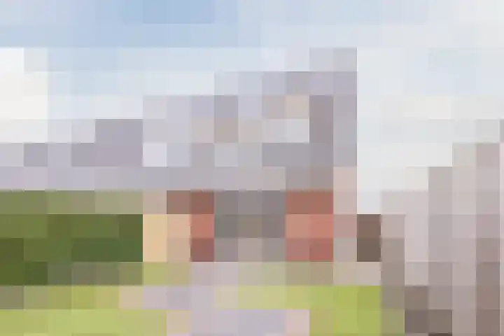 Hemsink 49 Biddinghuizen thumbnail 52