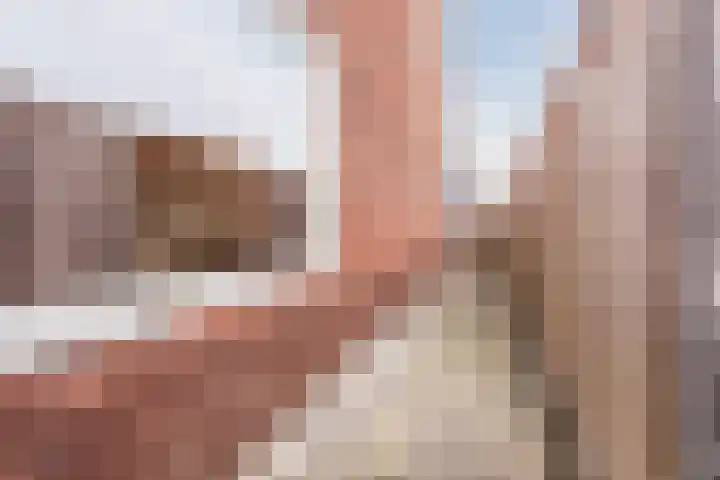 Hemsink 49 Biddinghuizen thumbnail 55