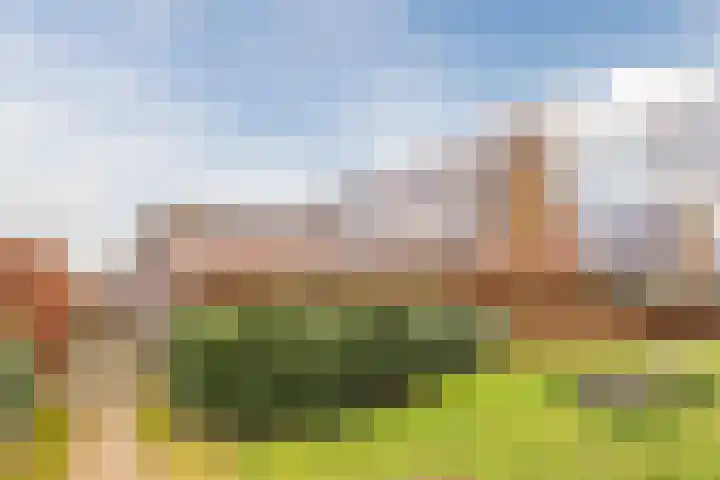Hemsink 49 Biddinghuizen thumbnail 56