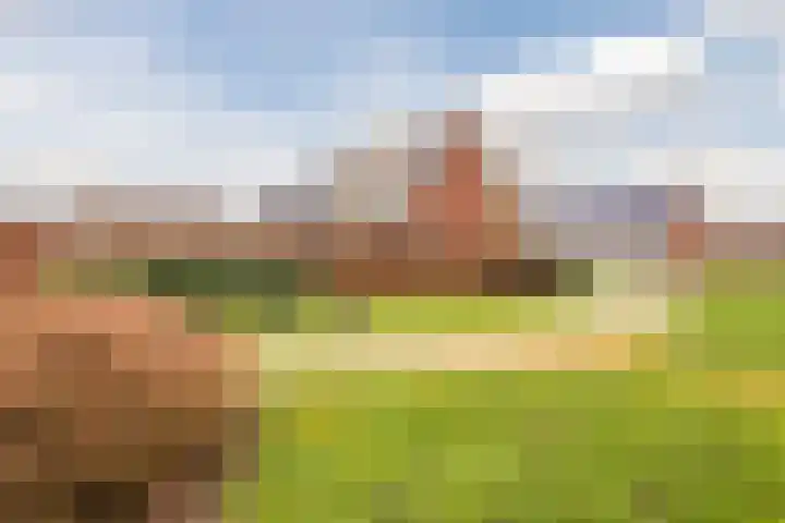 Hemsink 49 Biddinghuizen thumbnail 57