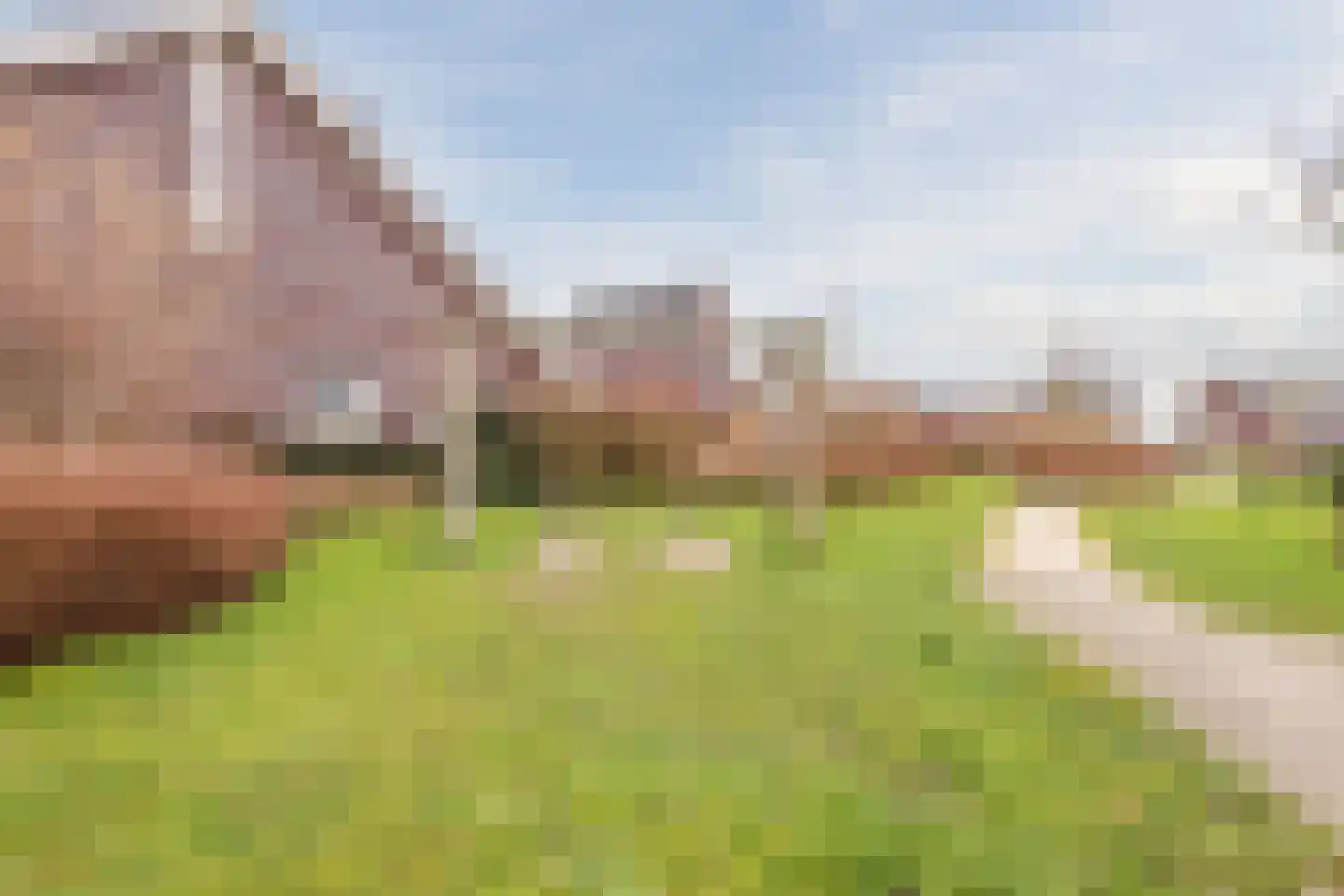 Hemsink 49 Biddinghuizen thumbnail 58