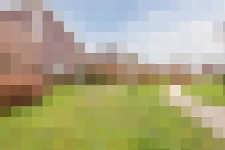 Hemsink 49 Biddinghuizen thumbnail 58