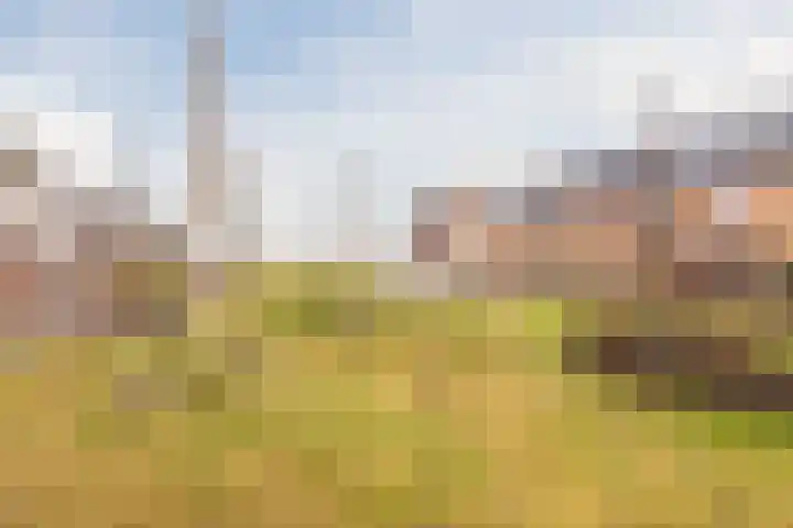 Hemsink 49 Biddinghuizen thumbnail 59