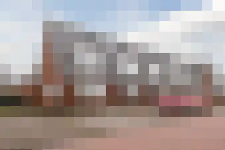 Hemsink 49 Biddinghuizen thumbnail 6