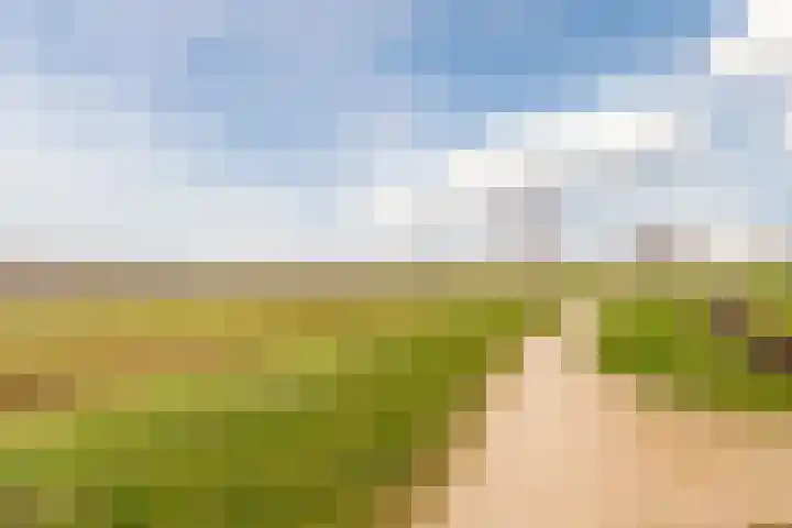 Hemsink 49 Biddinghuizen thumbnail 60