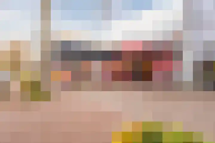 Hemsink 49 Biddinghuizen thumbnail 61