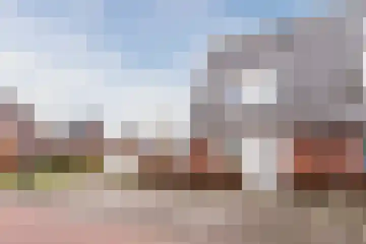Hemsink 49 Biddinghuizen thumbnail 8