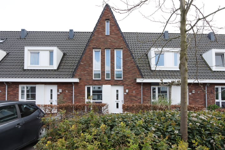 Hemsink 59 in Biddinghuizen Foto