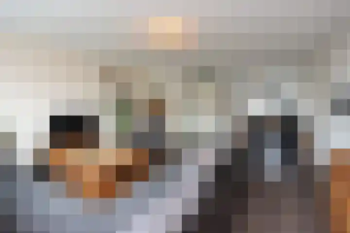 Hemsink 59 Biddinghuizen thumbnail 11
