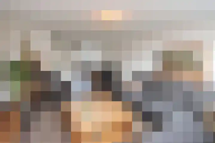 Hemsink 59 Biddinghuizen thumbnail 12