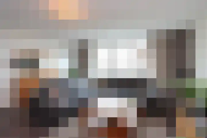 Hemsink 59 Biddinghuizen thumbnail 13