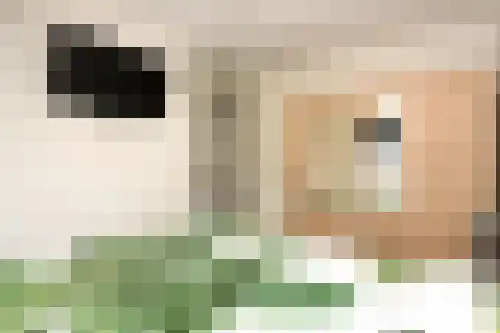 Hemsink 59 Biddinghuizen thumbnail 20