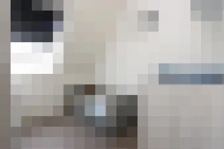 Hemsink 59 Biddinghuizen thumbnail 24
