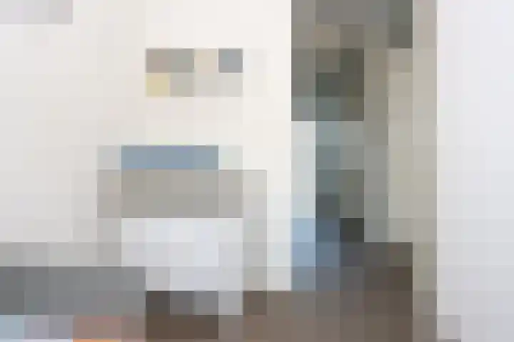 Hemsink 59 Biddinghuizen thumbnail 25