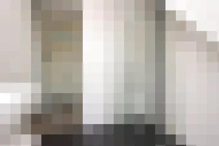 Hemsink 59 Biddinghuizen thumbnail 27