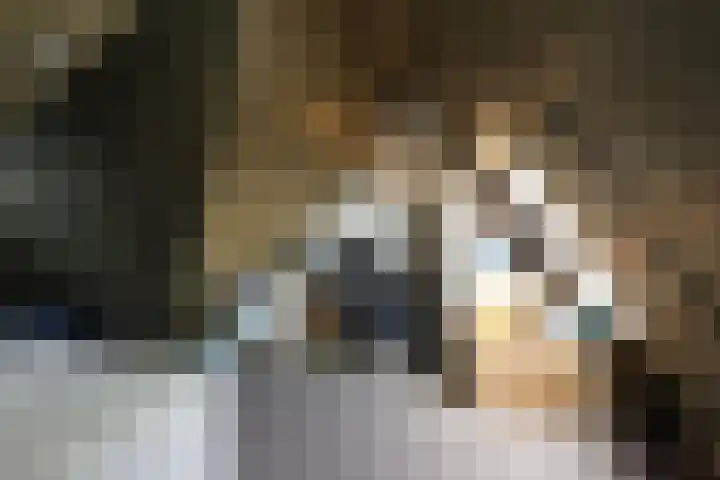 Hemsink 59 Biddinghuizen thumbnail 30