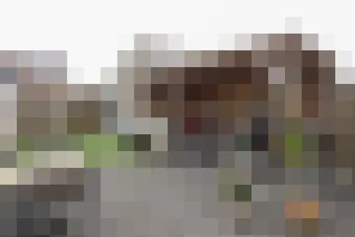 Hemsink 59 Biddinghuizen thumbnail 32