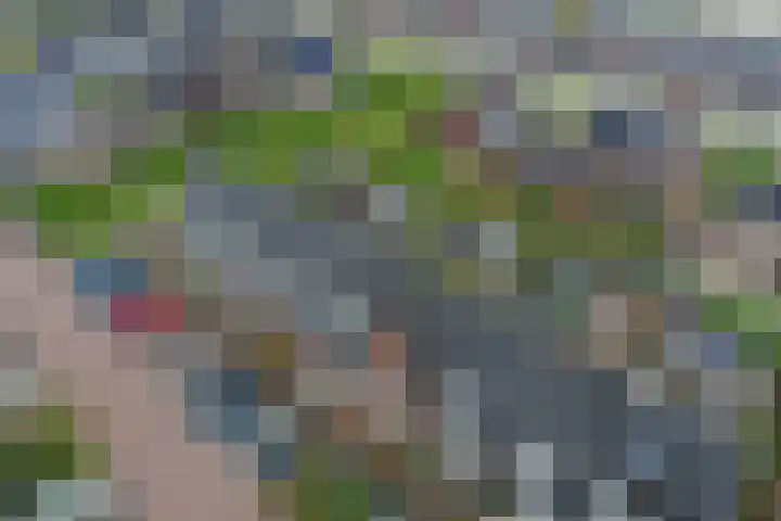 Hemsink 59 Biddinghuizen thumbnail 6