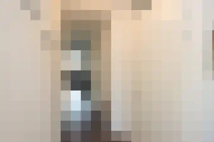 Hemsink 59 Biddinghuizen thumbnail 9