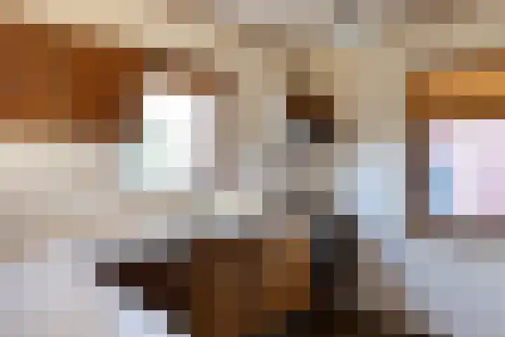 Hemstea 12 Eibergen thumbnail 10
