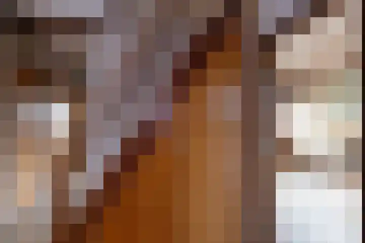Hemstea 12 Eibergen thumbnail 14