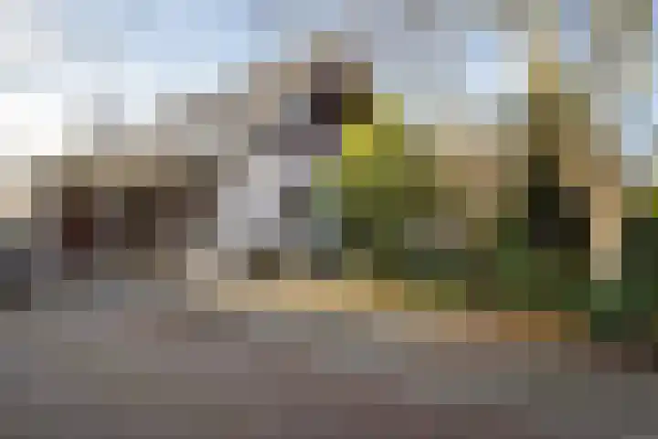 Hemstea 12 Eibergen thumbnail 19