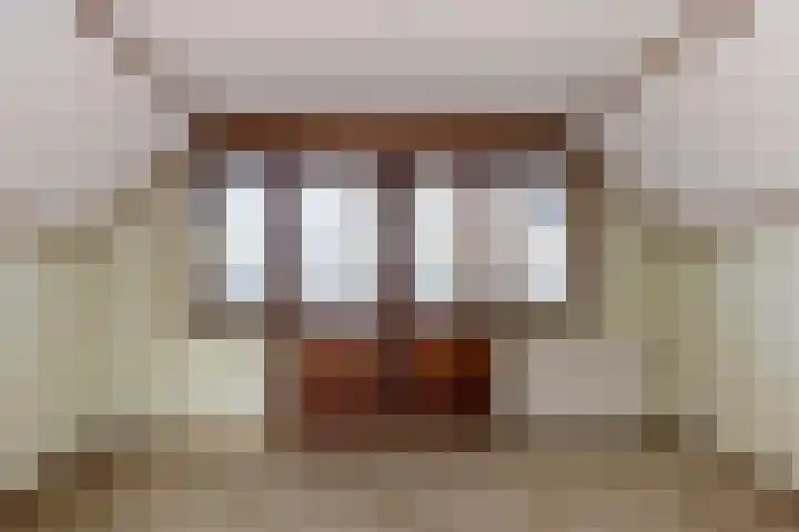 Hemstea 12 Eibergen thumbnail 20