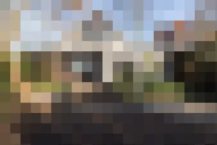 Hemstea 12 Eibergen thumbnail 22