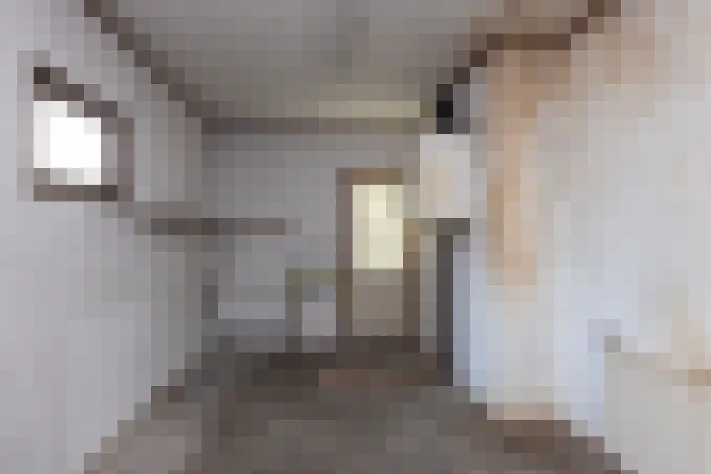 Hemstea 12 Eibergen thumbnail 23