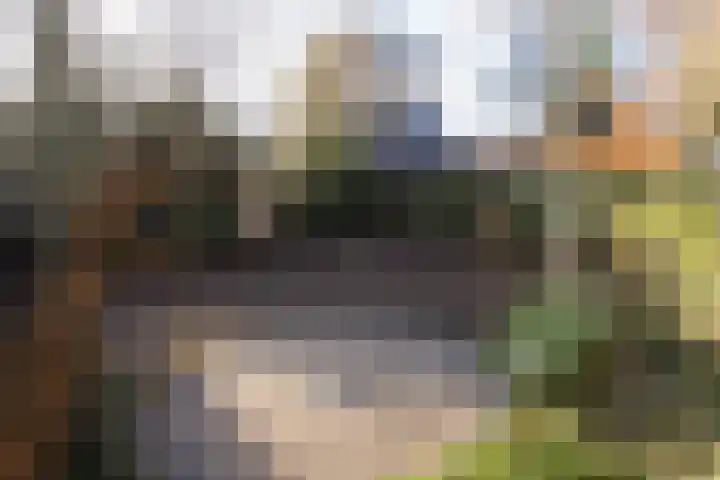 Hemstea 12 Eibergen thumbnail 25
